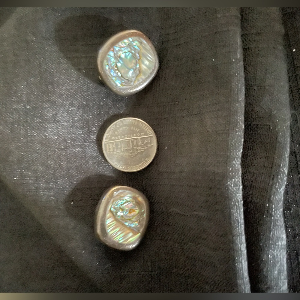 Beautiful Vintage Abalone Shell Clip on Earrings